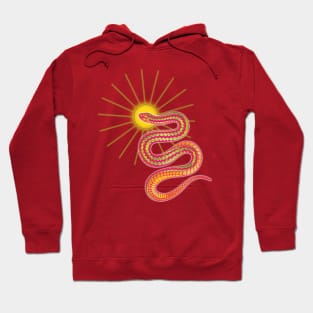 serve the serpent Hoodie